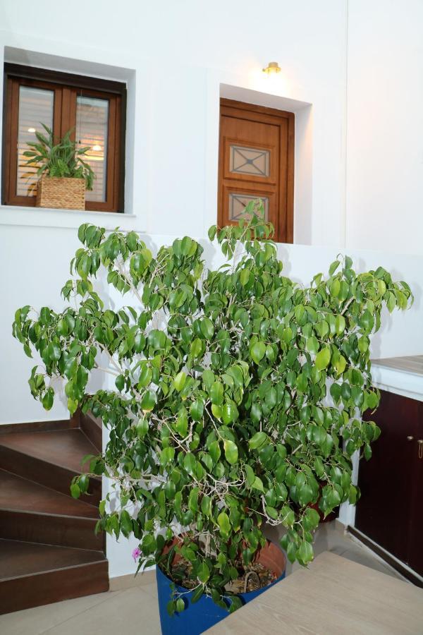 Angelica'S Deluxe Rooms In Adamas المظهر الخارجي الصورة